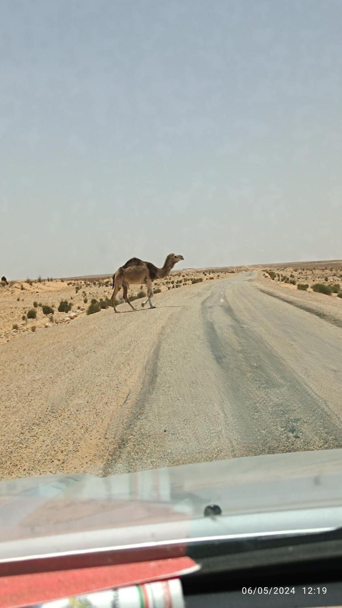 Dar Lagune Djerba Vue De Mer Al Haddadah 外观 照片