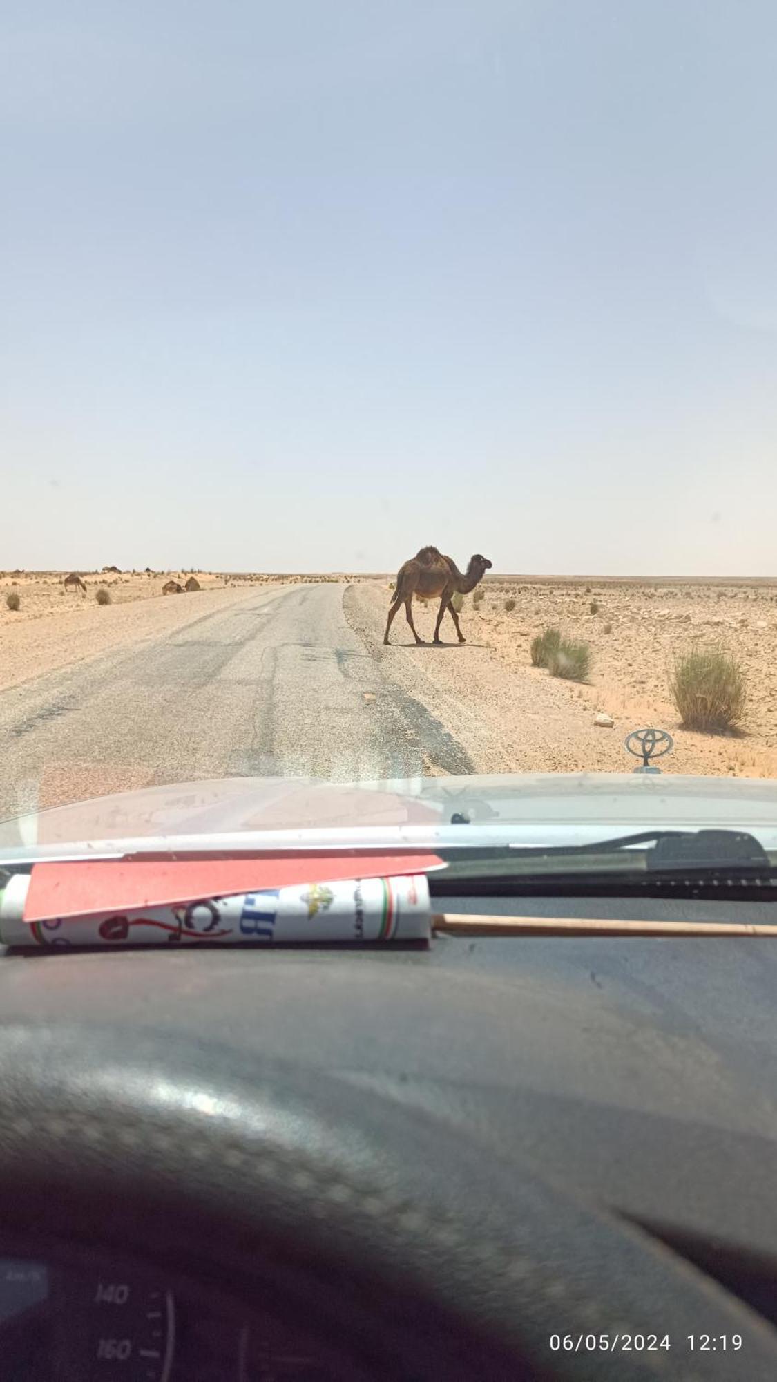 Dar Lagune Djerba Vue De Mer Al Haddadah 外观 照片