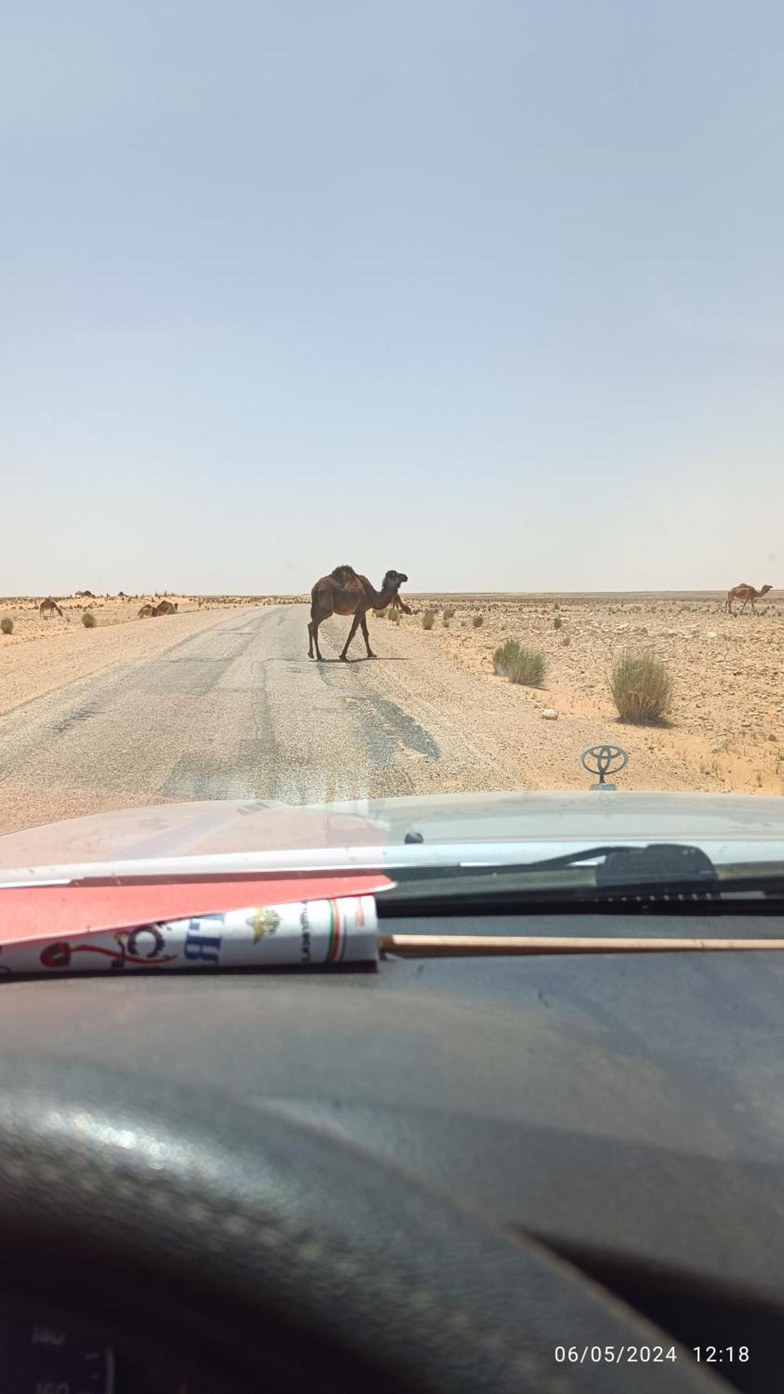 Dar Lagune Djerba Vue De Mer Al Haddadah 外观 照片