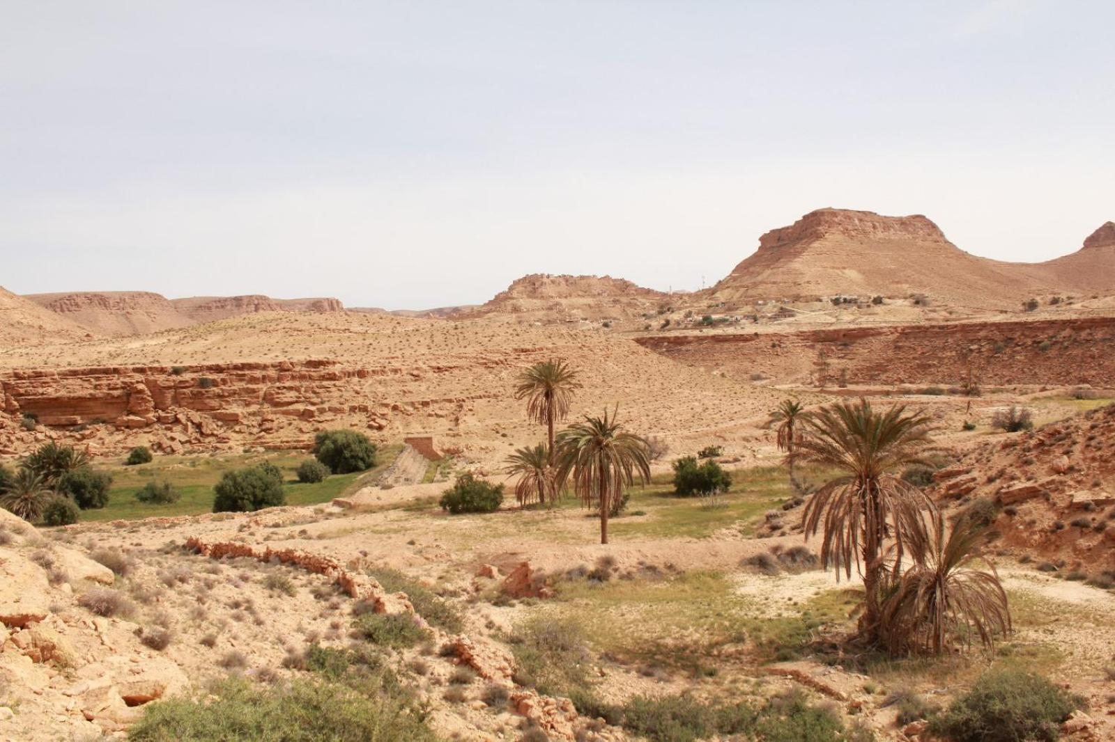 Dar Lagune Djerba Vue De Mer Al Haddadah 外观 照片