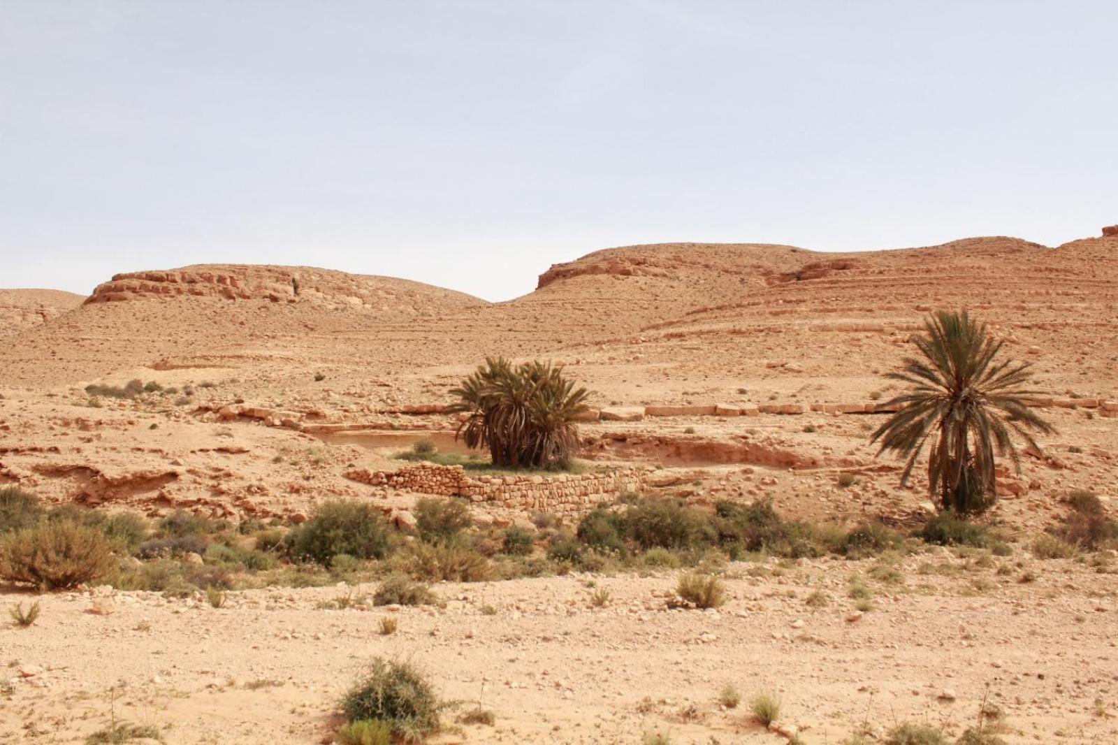 Dar Lagune Djerba Vue De Mer Al Haddadah 外观 照片