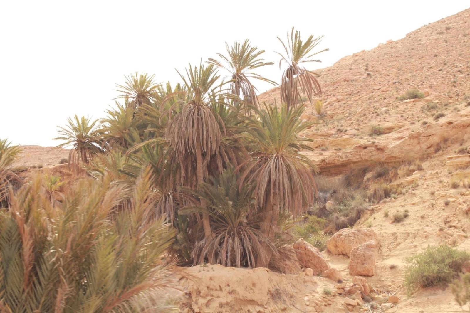 Dar Lagune Djerba Vue De Mer Al Haddadah 外观 照片